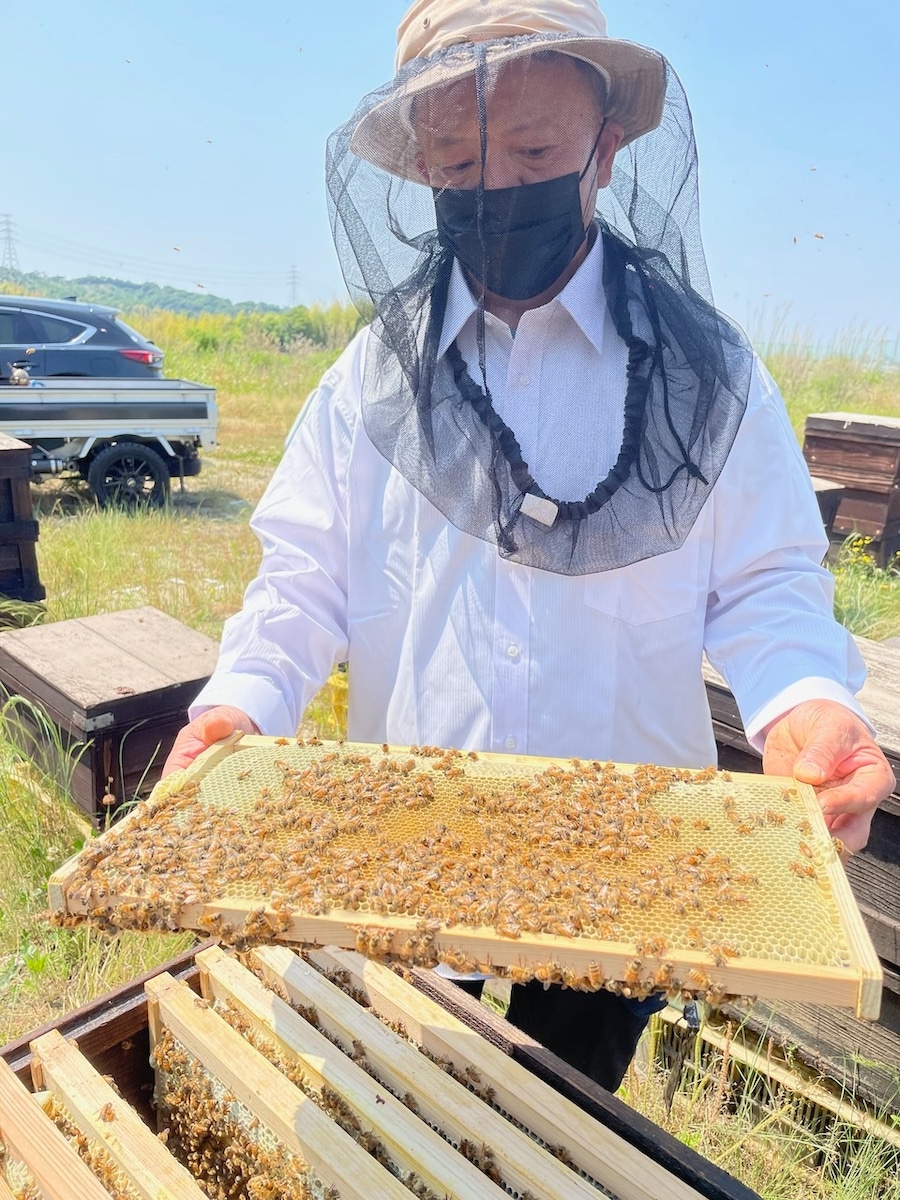 常温】はちみつ紅茶のホロホロクッキー6枚入り | en-nui（アンニュイ）